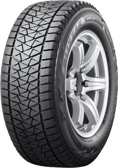 Bridgestone Blizzak DM-V2